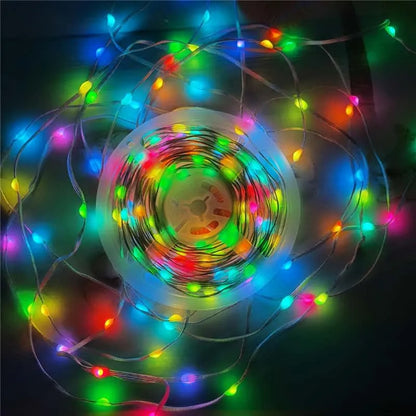 Led String Lights RGBIC Copper Wire Acoshneon 016